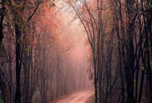 《洛神赋》繁体版--书法用文