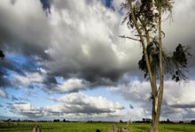 《十六字令·展翅》