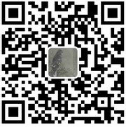 公众号二维码